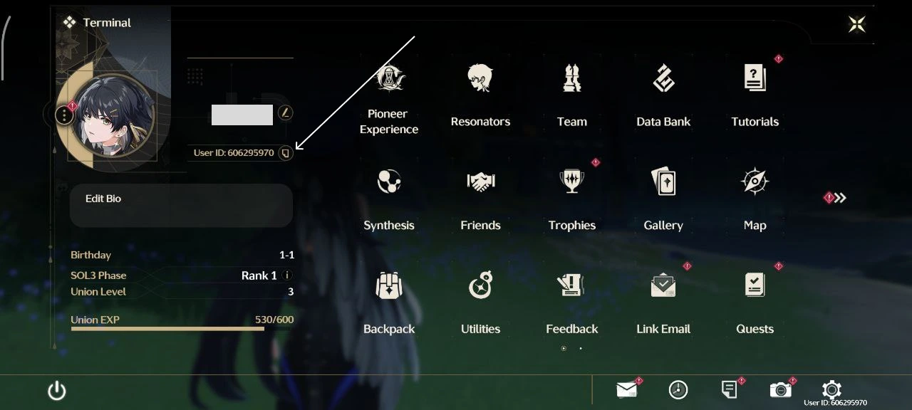 You need to find your Player ID in the game for delivery (don't worry, this is public data)
