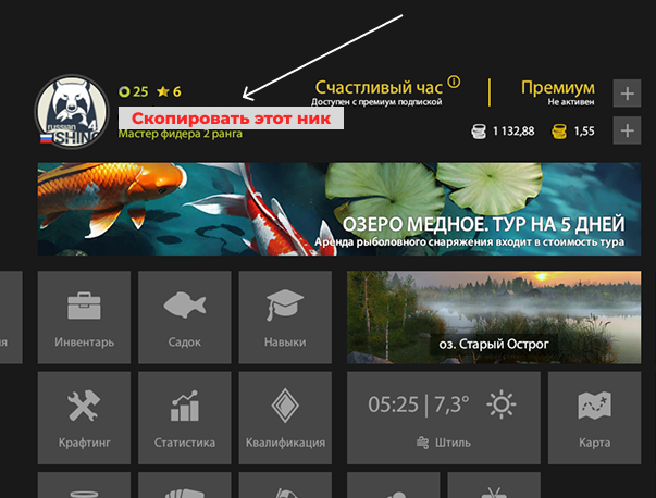 You need to find and carefully copy your in-game nickname for delivery (don't worry, this is public data)
Also note that we only top up Russian accounts (check the flag next to your avatar). 