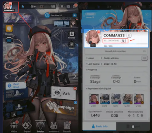 You need to find your Player ID in the game for delivery (don't worry, this is public data)