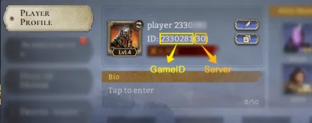 You need to find your ID โ check the screenshot to see where to find it. Copy it, verify it, and then proceed to payment ๐