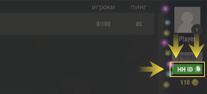 You can see and copy your HH ID as shown in the screenshot below.
Tap on this block to copy your ID. Then paste it on the website.